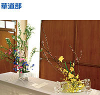 Flower.jpg