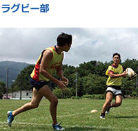 Rugby.jpg