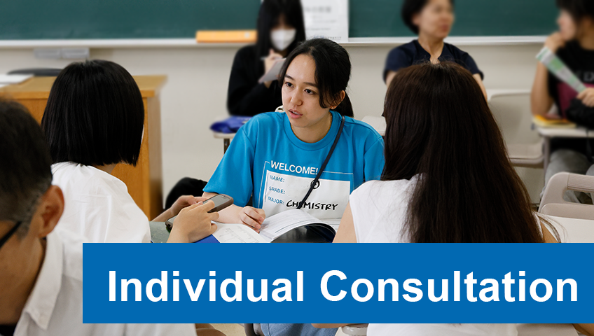Individual Consultation