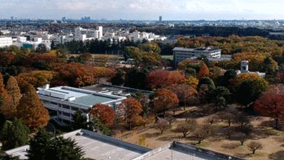 171120-IcjF-org-ANIM.gif