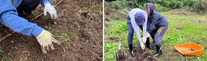 farmproject2411_01.jpg